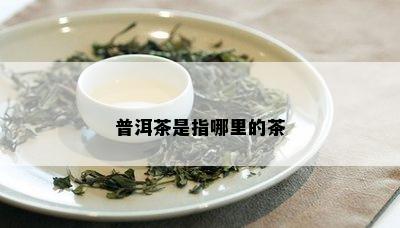 普洱茶是指哪里的茶