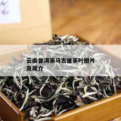 云南普洱茶马古道茶叶图片及简介