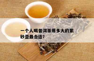 一个人喝普洱茶用多大的紫砂壶最合适？