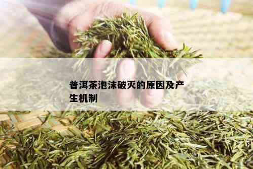 普洱茶泡沫破灭的原因及产生机制