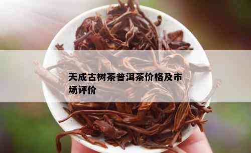 天成古树茶普洱茶价格及市场评价