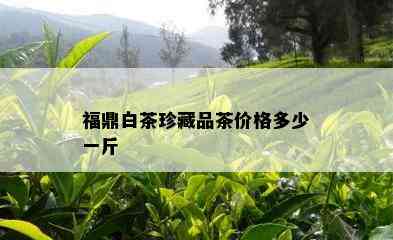 福鼎白茶珍藏品茶价格多少一斤