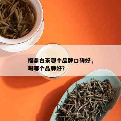 福鼎白茶哪个品牌口碑好，喝哪个品牌好？