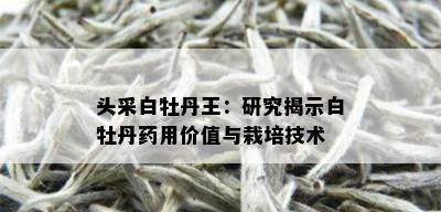 头采白牡丹王：研究揭示白牡丹药用价值与栽培技术