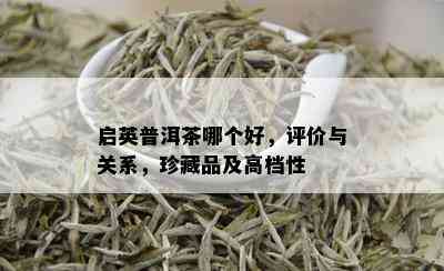 启英普洱茶哪个好，评价与关系，珍藏品及高档性