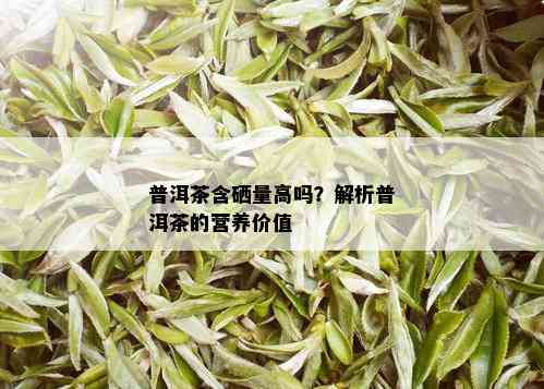 普洱茶含硒量高吗？解析普洱茶的营养价值