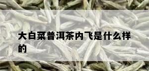 大白菜普洱茶内飞是什么样的