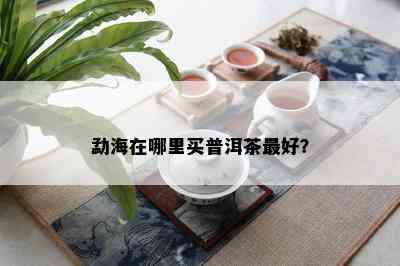 勐海在哪里买普洱茶更好？