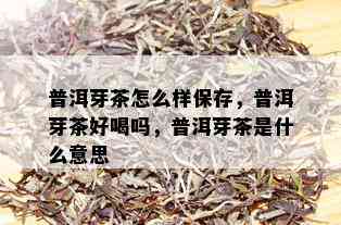 普洱芽茶怎么样保存，普洱芽茶好喝吗，普洱芽茶是什么意思