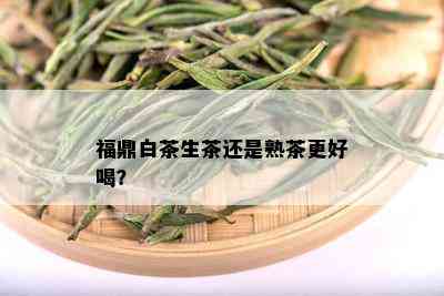 福鼎白茶生茶还是熟茶更好喝？