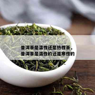 普洱茶是温性还是热性茶，普洱茶是温性的还是寒性的