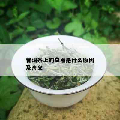 普洱茶上的白点是什么原因及含义