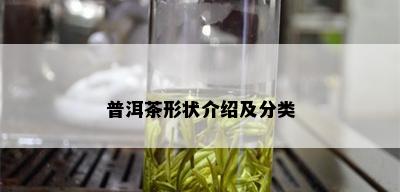 普洱茶形状介绍及分类