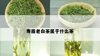 寿眉老白茶属于什么茶