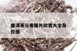 普洱茶沁香图片欣赏大全及价格