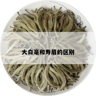 大白毫和寿眉的区别