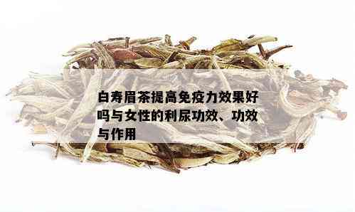 白寿眉茶提高免疫力效果好吗与女性的利尿功效、功效与作用