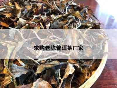 求购老陈普洱茶厂家