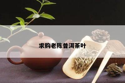 求购老陈普洱茶叶