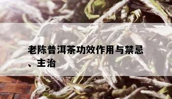 老陈普洱茶功效作用与禁忌、主治