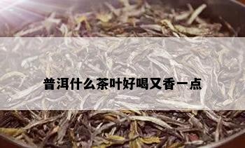 普洱什么茶叶好喝又香一点