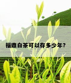 福鼎白茶可以存多少年?