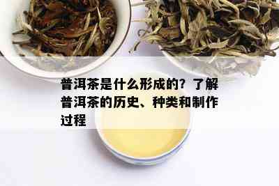 普洱茶是什么形成的？了解普洱茶的历史、种类和制作过程