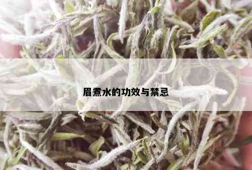 眉煮水的功效与禁忌