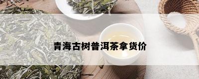 青海古树普洱茶拿货价