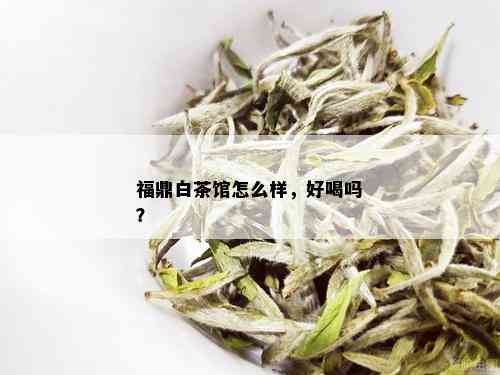 福鼎白茶馆怎么样，好喝吗？