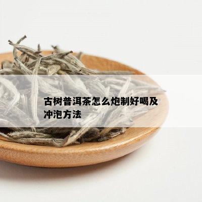 古树普洱茶怎么炮制好喝及冲泡方法