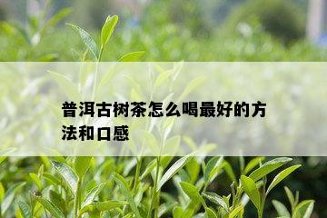 普洱古树茶怎么喝更好的方法和口感