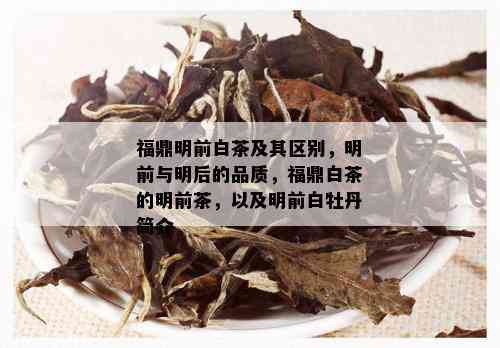 福鼎明前白茶及其区别，明前与明后的品质，福鼎白茶的明前茶，以及明前白牡丹简介