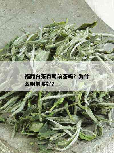 福鼎白茶有明前茶吗？为什么明前茶好？