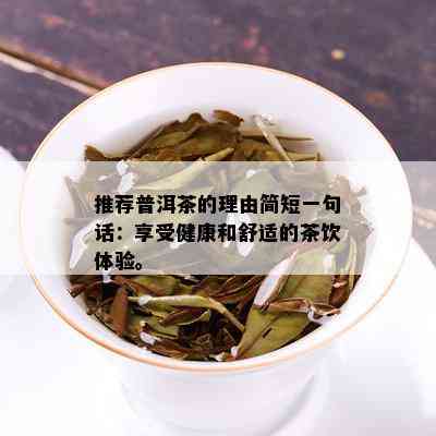 推荐普洱茶的理由简短一句话：享受健康和舒适的茶饮体验。