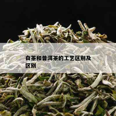 白茶和普洱茶的工艺区别及区别