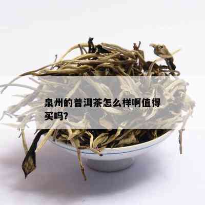 泉州的普洱茶怎么样啊值得买吗？