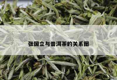 张国立与普洱茶的关系图