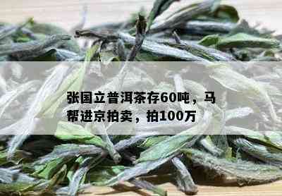 张国立普洱茶存60吨，马帮进京拍卖，拍100万