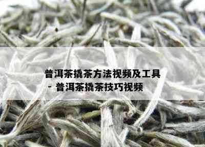 普洱茶撬茶方法视频及工具 - 普洱茶撬茶技巧视频