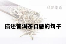 描述普洱茶口感的句子