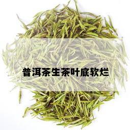 普洱茶生茶叶底软烂