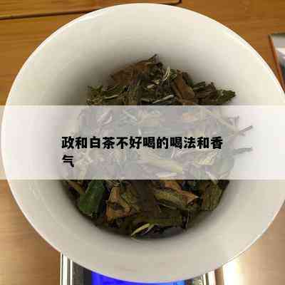 政和白茶不好喝的喝法和香气