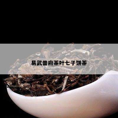 易武普府茶叶七子饼茶