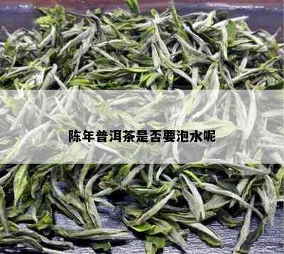 陈年普洱茶是否要泡水呢