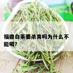 福鼎白茶要杀青吗为什么不能喝？