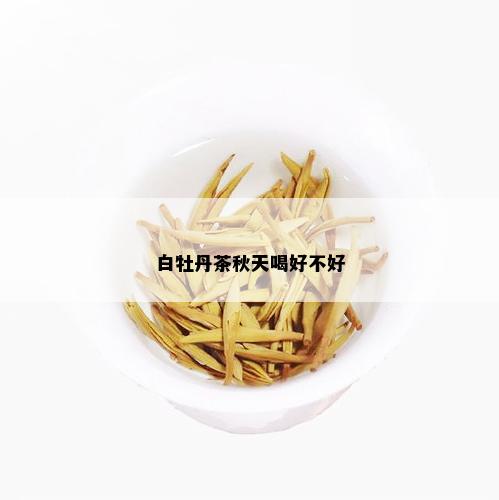 白牡丹茶秋天喝好不好