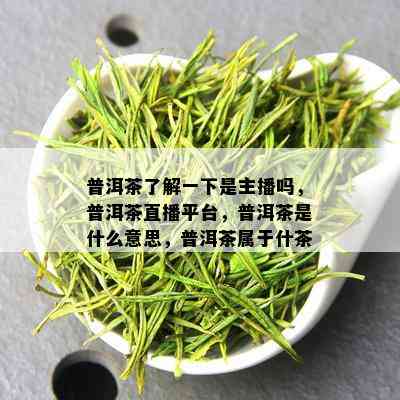 普洱茶了解一下是主播吗，普洱茶直播平台，普洱茶是什么意思，普洱茶属于什茶