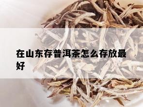 在山东存普洱茶怎么存放更好