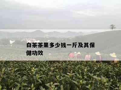 白茶茶果多少钱一斤及其保健功效